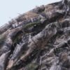 oversized realtree camouflage mesh see-through parka