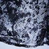 "白と黒のマリアージュ系シースルー" flower pattern monotone see-through shirt