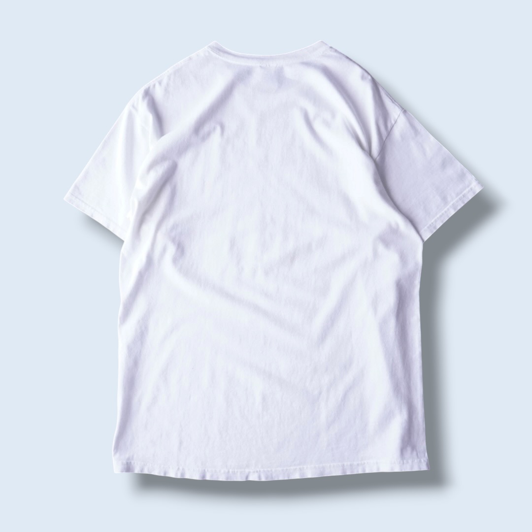 "珍品キルミーパロ? / unknown" print tee