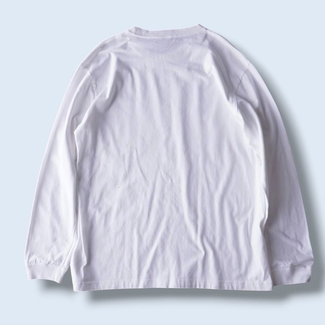 "伝説と幻爆盛り / ポケモン" print L/S tee